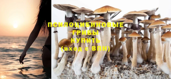 молекула духа Михайловка