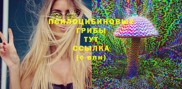 молекула духа Михайловка