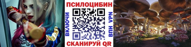где продают наркотики  Благовещенск  Псилоцибиновые грибы Psilocybine cubensis 